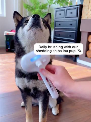 50% Off & Free Shipping! | LINK IN BIO TO SHOP