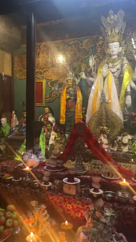 #fyp #buddhism #buddha #viral 