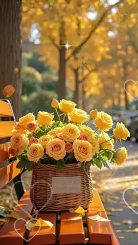 #Доброгораночку #запоріжжя💙💛 #рекомендації ###