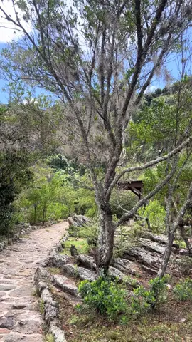 Una belleza natural #venezuela🇻🇪 