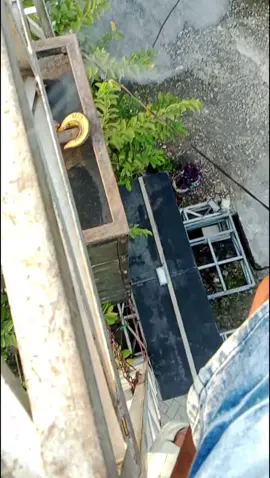 lagek ae rep gae estetic malh lagu ne Wes di ganti 😭 #sound #soundsystem #horegjawatimur #fyp #ngosex 