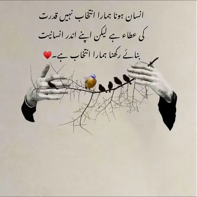 #گہری_چپ_بہت_سارے_بھرم_رکھ_لیتی #