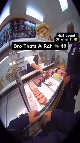 Who's the chef, Ratatouille? #follow #repost #like #comment #deli #rat #meat #smokedham#roastbeef