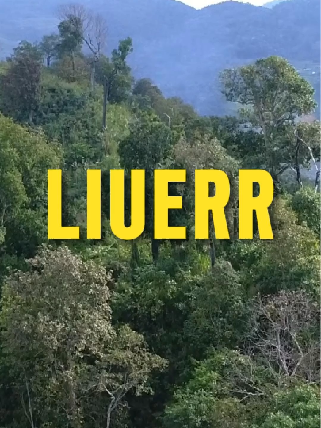 LIUERR lagu sunda, lagu india sunda, lagu sunda india, lagu viral, lagu sunda lucu, lagu india lucu, lagu sunda india lucu, musik viral, musik india, musik sunda, musik sunda lucu, musik india lucu, fyp, tiktok affiliate, affiliate tiktok, viral, #laguindia #musiksundaviral #lagusundalucu #viralsunda #lagusundaviral #videoviral #lagusundaindia #laguindiasunda #viralvideo #viraltiktok #sundamusik #musiksunda #lagusunda #viral #vira #fyp #affiliatetiktok #fyppppppppppppppppppppppp #funny #fypシ゚viral🖤tiktok #tiktokaffiliate