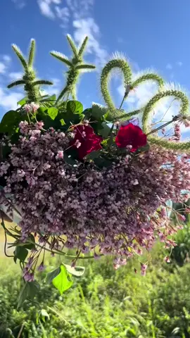 ngày đầu xây kênh  . mong được các bạn ủng hộ #ngaydauxaykenh #ngàyđầuxâykênh #hanhtrinhxaykenh #nguoimoilamtiktok #nguoimoixaykenh 