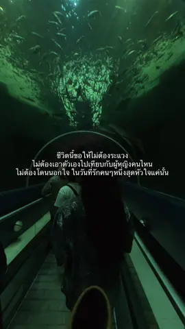 #สตอรี่ความรู้สึก #story #wlw #fyp #aquarium 