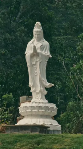 පිළිගන්න 🍃