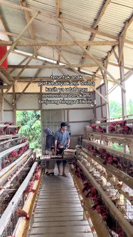 berjuang bareng ya nak 🫶🏻 #peternakmuda #peternakanayam #peternakanayampetelur #fyp #fypage 