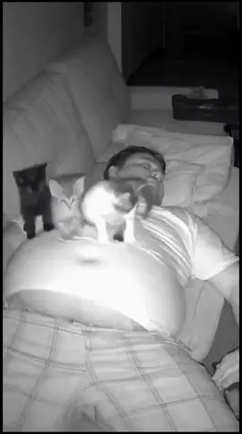 amboi ingt tilam air ka cing oi 🤣🤣🙋#🤣🤣🤣 #kucinglucu 