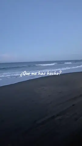 ¿Que me has hecho? ¿Dónde estoy? #playa#calma #chachalacasveracruz#dunas