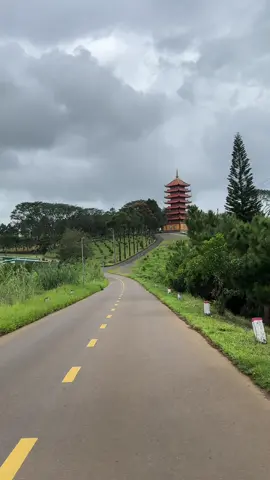 Đường đến Tu Viện Bát Nhã #tuvienbatnha #tuvienbatnhabaoloc  #baoloc #dulichbaoloc #baoloctravel 