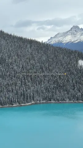 📍Lake Louise, ab. #banffnationalpark #albertacanada 
