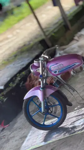 #cbpinkiboy🚀 
