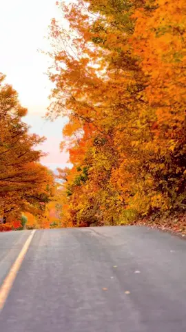 #autumn #autumnvibes #autumnvibes #october #foryou 