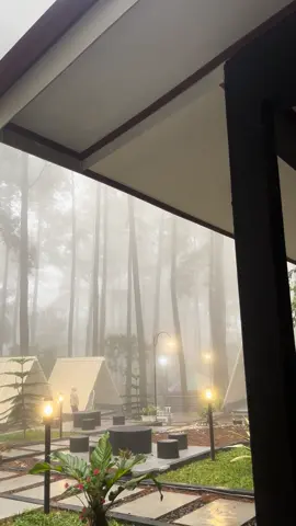 Berkabut Bukan Berarti Berlarut , Mencintai Coffe Dengan Lembut . #promoseruweekend #pesonakuningan #buperhuldaytrijayakuningan #fyppppppppppppppppppppppp #trend 