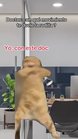 #Meme #MemeCut #doctor #dolor #portuoi 