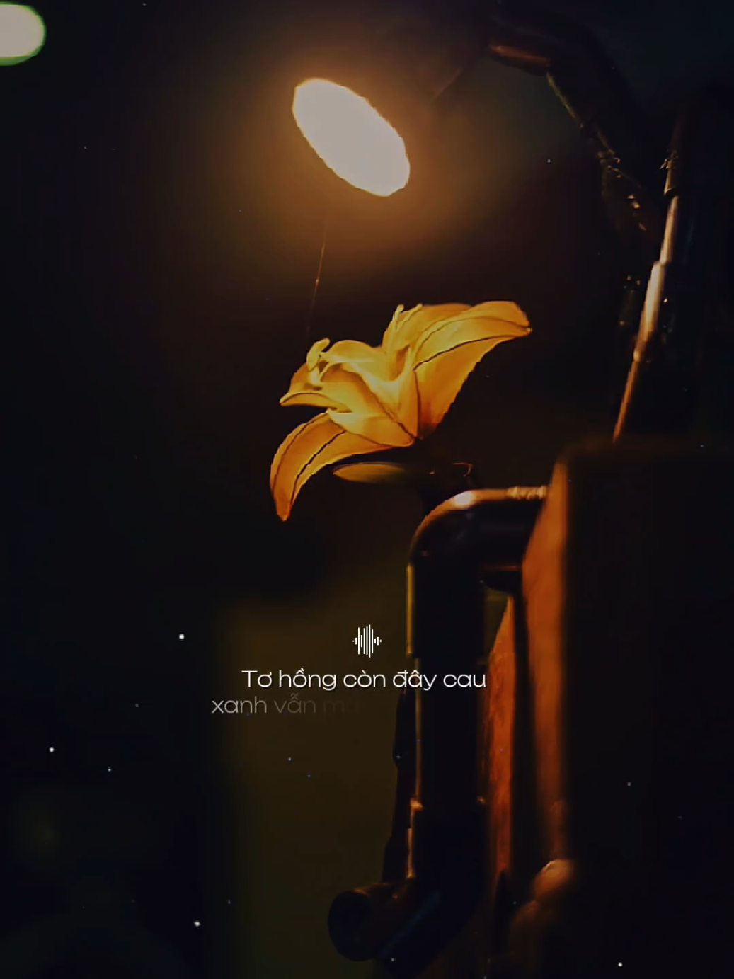 Ông tơ se duyên trao lầm người.. Tơ hồng còn đây cao xanh vẫn mãi trong mong... #trangkhoc #nhacbuontamtrang #tramcamxuc💔 #maucapcut #phonhac 