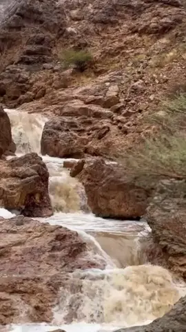 #في هذا اليوم 