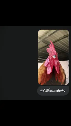 #ฟีด #fyp #aiดัดฟัน 