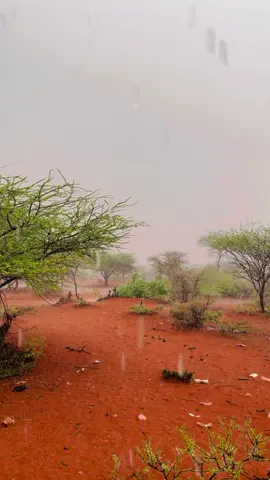 Saka bariso kle🌨️❤️🤲