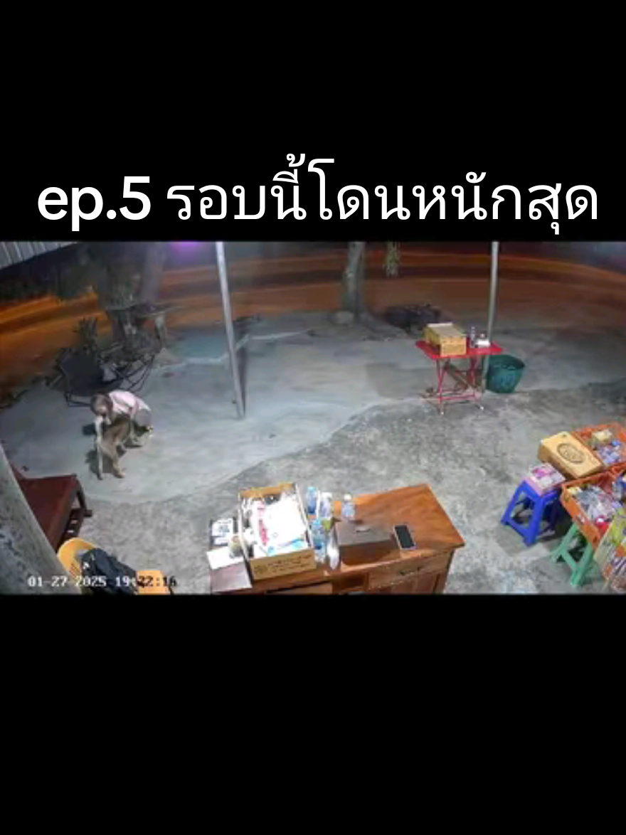 โดนหนักสุด ปากฉีกเย็บหลายเข็ม ที่เงียบคืออมเลือดไว้เต็มปาก เดินก็ไม่ได้มันจ้องจะกัดอีก ที่คลำที่หัวคือคลำหาแผลที่โดนกัดที่ท้ายทอย หลายรู นอนโรงพยาบาลหลายวัน (หมาจรหลงมา) @dyw0z1gyo31k #สัตว์เลี้ยงtiktok #เทรนวันนี้ #tiktok #หมาจรก็มีหัวใจ 