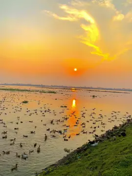 কিছু গল্পের শেষ থাকে না মাঝ পথেই সমাপ্তি ঘটে 😌❤️‍🩹#rs_raju#foryou #foryoupage #fyp #viral 
