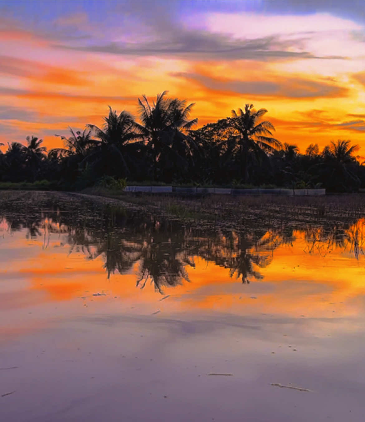 Trời cao đâu thấu tơ duyên sao cho ta gặp rồi bắt ta xa ...#chill#trending#tamtrang#mientayquetoi 