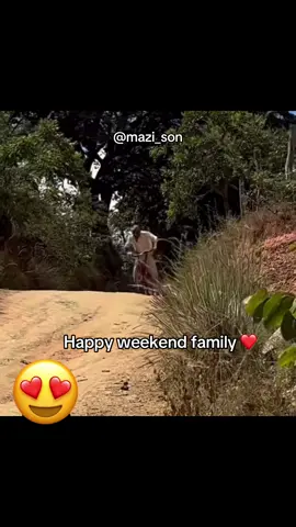 #Mazison_BackUp #arondizuogu 