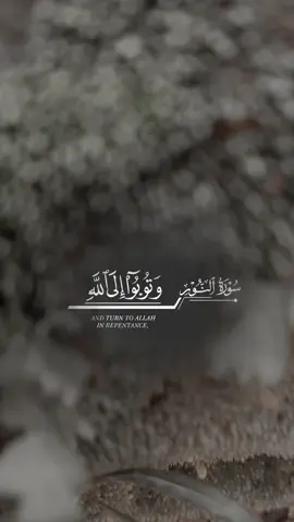 #quran_kareem #quran #creatorsearchinsights 