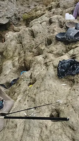 bandul singkong umapan roti klik  #mancingmania #mancingliar #mancingtegek #nutulnilem #vidioviral 