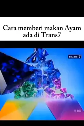 tutor ngasih makan ayam 🐓🐔 #fyp #trans7 #fypシ #tranding #CapCut 