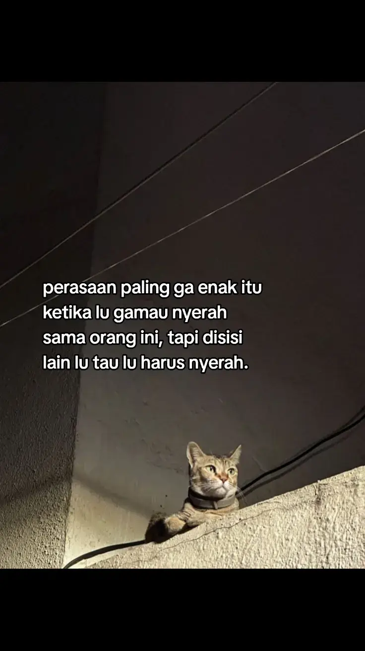 yang lagi merasakan yang sama bantu post ulang ya🤗🙏🏻