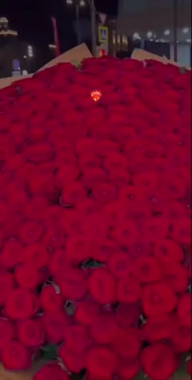 #accadeoggi #❤️‍🔥 #voliamoneixte✈🦁 #videostati 