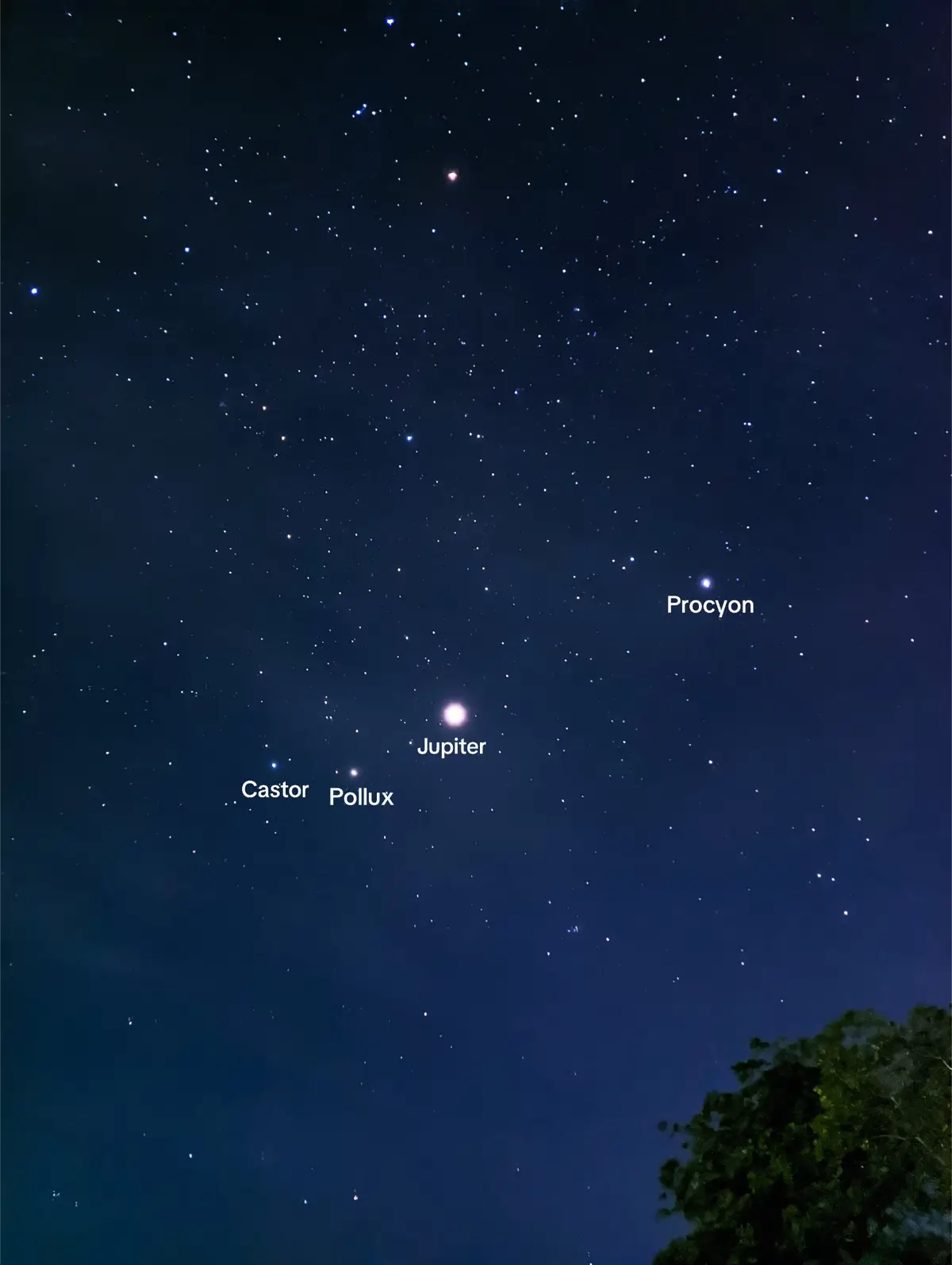 #astronomi #langitmalam #sky #astrophotography #fyp 