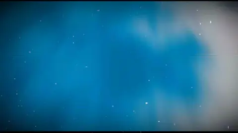 يا شجرة ضلك عجبني👳🏻‍♀️🌴#المصمم_محمود_علي 