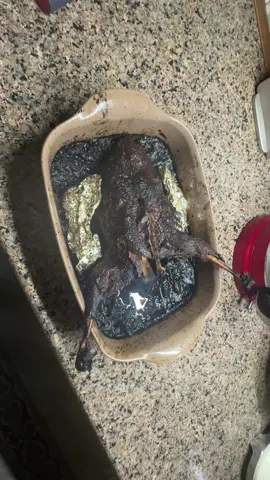 #уткасапельсинами 