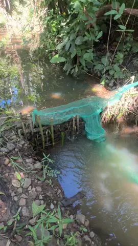 #ตาข่ายตักปลา