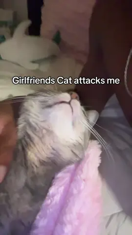 He was just mad this day #catsoftiktok #catvideo #fypシ゚viral #viralvideo #fypシ 