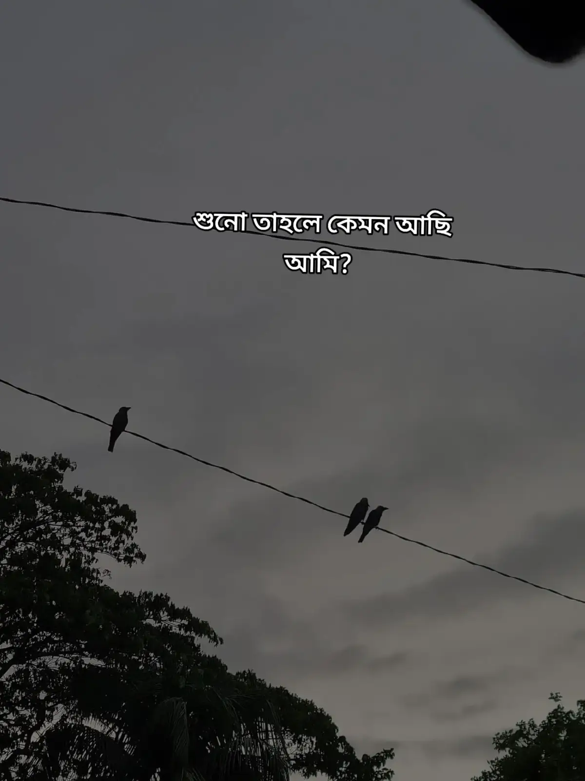 আমার চারপাশে মানুষ আছে, শব্দ আছে, কিন্তু আমার ভেতরে কেবল নীরবতা, যারা একসময় আমার পাশে থাকার প্রতিশ্রুতি দিয়েছিল, আজ তারা কেউ নেই... সবাই চলে গেছে, কেউ ধীরে ধীরে, কেউ হঠাৎ করে, কিন্তু আমার পাশে শুধু আমি, আর আমার একাকিত্ব, রাতে বিছানায় শুয়ে থাকি, চোখ বন্ধ করলে স্মৃতিগুলো এসে ভিড় করে, কাউকে পেতে ইচ্ছে করে,কিন্তু কাউকে পাই না ! হাজার মানুষের মাঝে থেকেও আমি একা, যেন আমি আছি কিন্তু কেউ আমাকে ছুঁতে পারছে না ! আমি হাসি, গল্প করি, কিন্তু সেই হাসির আড়ালে আমার নিঃশব্দ কান্না লুকানো থাকে, যে মানুষটাকে আমি ভরসা করেছিলাম, যাকে আমি নিজের সবকিছু দিয়েছিলাম, সেই মানুষটাই একদিন আমাকে একা ফেলে গেছে ! আজ আমি শিখেছি একা হয়ে বাঁচতে, নিজের ভেতরের ব্যথা লুকিয়ে রাখতে, কাউকে কিছু বলার ইচ্ছা হয়, কিন্তু মনে হয় কেউ বুঝবে না ! এই একাকিত্ব এখন আমার প্রতিদিনের সঙ্গী, যে আমার নিঃশ্বাসের সাথে থাকে, যে আমার কষ্টের সাথে কথা বলে, যাকে আমি ভালোবেসে ফেলেছি আমার অজান্তেই, তবুও আমি বেঁচে আছি, এই একাকিত্বের ভেতরেই শক্তি খুঁজে নিচ্ছি, একদিন হয়তো এই অন্ধকার কেটে যাবে, আর আমি আবার নতুন করে বাঁচতে শিখবো 💔😅#unlocky #vairal #tiktok 