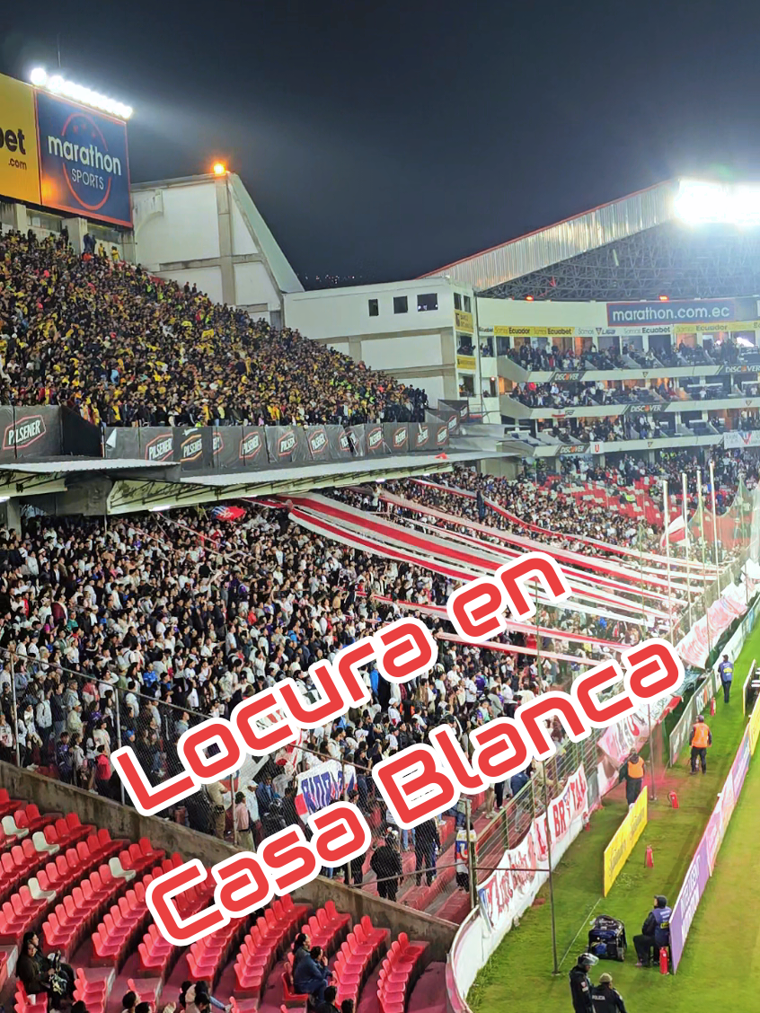 Liga Deportiva Univeristaria paseando su casta contra su hijo barcelona BSC #LDU #LigadeQuito #lduquito #Liga #ligadeportivauniversitaria          