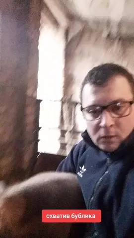кабан бублик #травяныесвиньи #кабан #чиназес #кабанбублик 