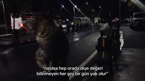 #fypシ゚  bi umuttur yaşamak 