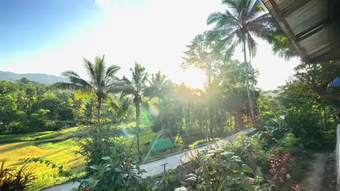 #FYPpppp#saudadesfaliambientenee🥹❤️#BCUBAGUIALAVATERI❤️.        