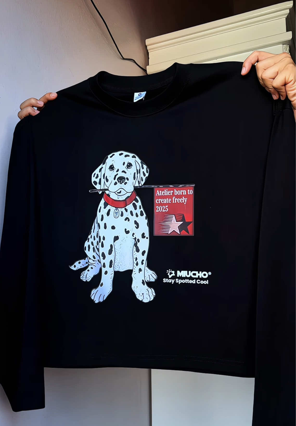 Áo thun boxy tay dài cá tính BST Miucho #hot #lenxuhuong #quanao #aothun #moingaymotoutfit 