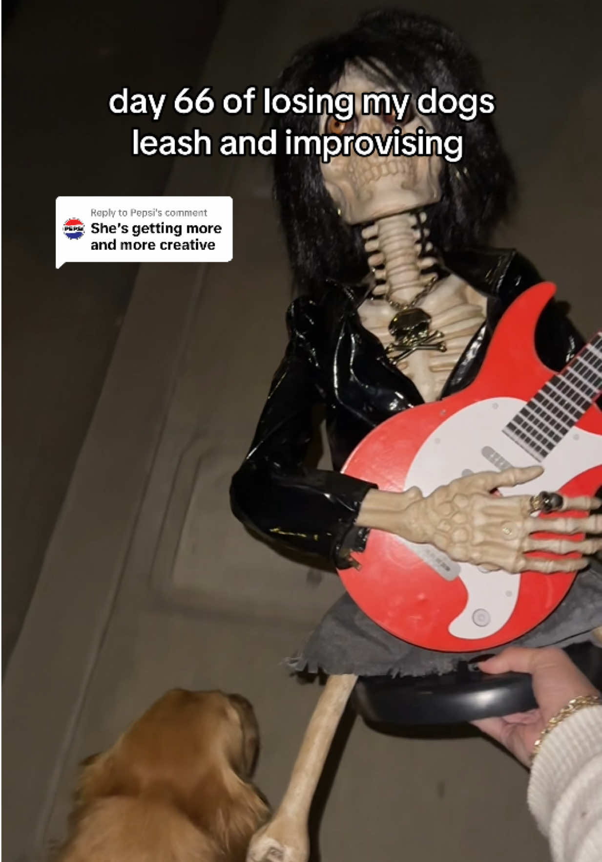 Replying to @Pepsi @Joan Jett we are your biggest fans ✨💕🎸 #goldenretriever #dog #walk #guitar #joanjett 