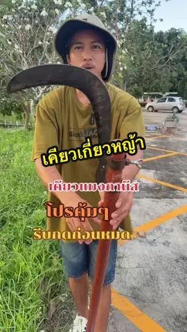 เคียวเหล็กตัดแต่งกิ่ง#เคียวเหล็ก #เคียวเหล็กแมงกะนิส#เคียวแมงกานีส #เคียวเกี่ยวหญ้า #ชาวสวน 