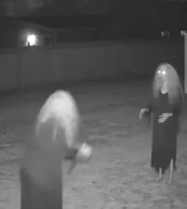 play time lol #fyp #tiktokviral #mustwatch #viral #AI 