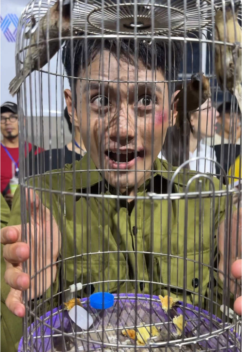 Chim nhà ai cưng dữ 🥳 #dinhkhang #dienviendinhkhang #pov #tuchim #dailyvlog #daily #routine #donhathoang 