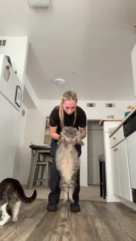 Pleasure doin business with ya’ll🤠 #fyp #foryoupage #catsoftiktok