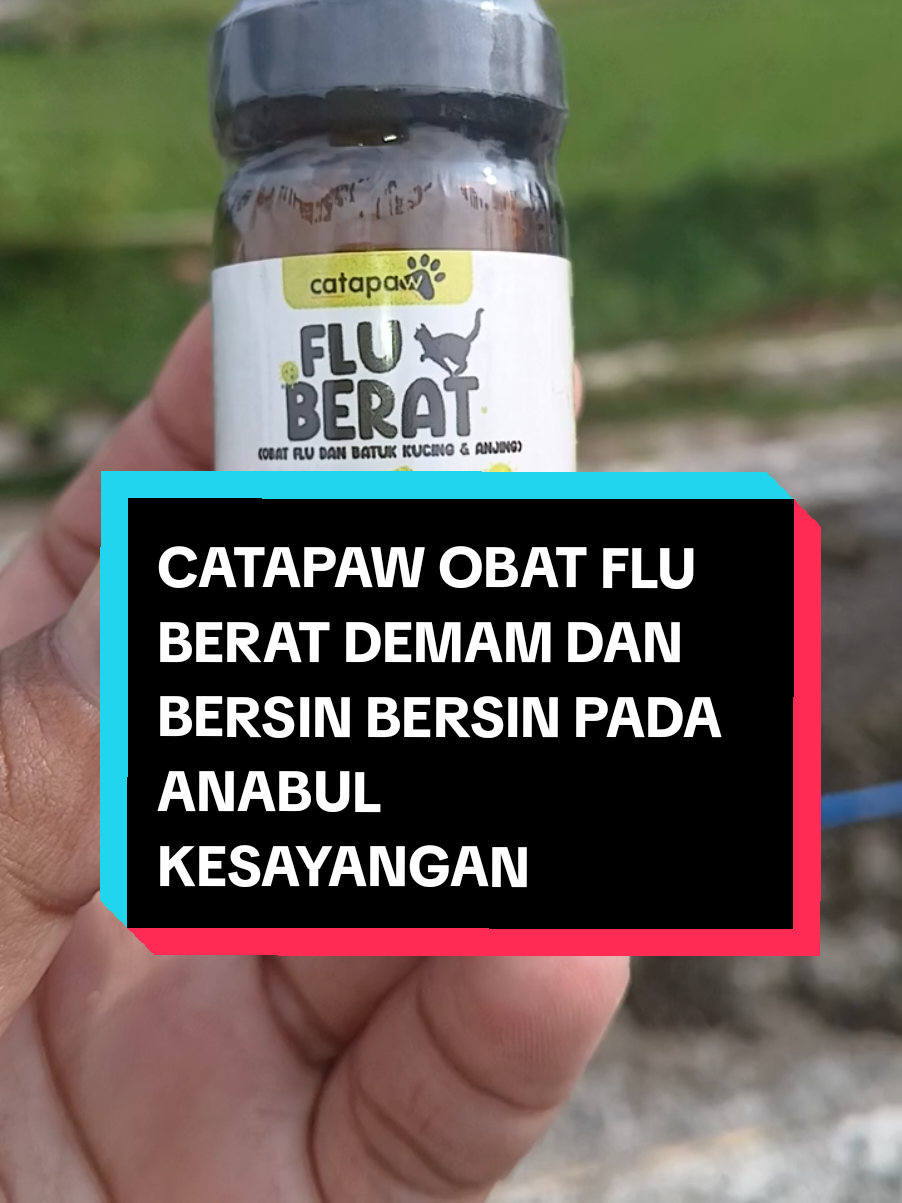 CATAPAW OBAT PLU BERAT PADA ANABUL #catapaw #catapawofficial #fluberatcatapaw  #ModalKontenDoang #SiPalingAffiliate  